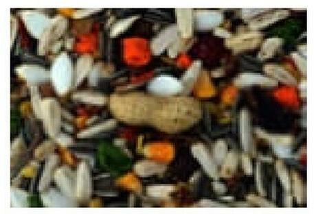 Actual product image Schweizer PA Parrot food (1 x, 4 kg)