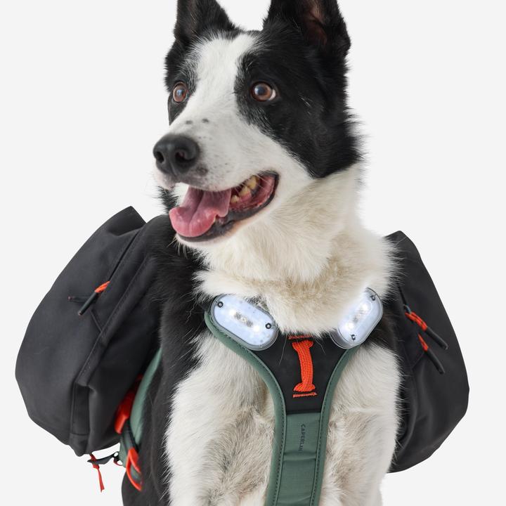 Produktbild Caperlan Hundegeschirr Wandern (S, Hund)
