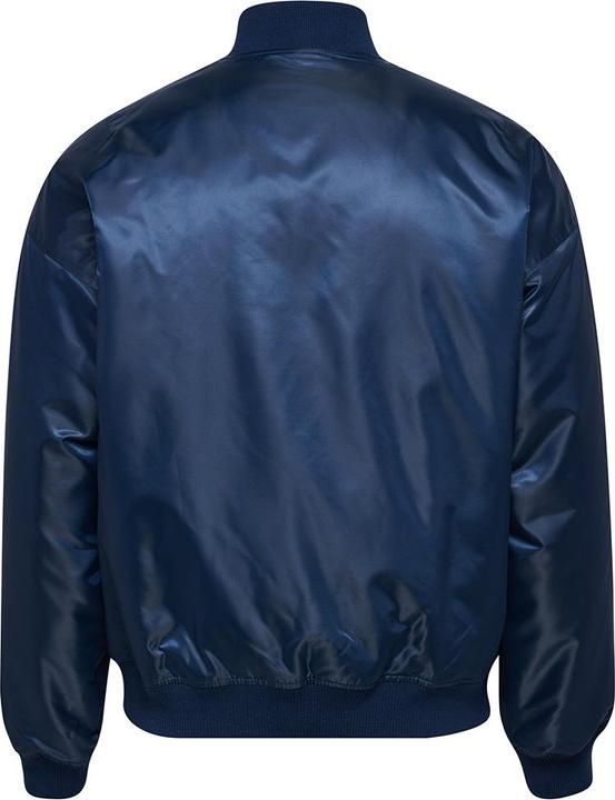 Image du produit hummel hmlBASEBALL JACKET BEE (L)