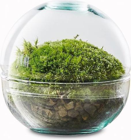 Immagine prodotto Green Bubble Space Ball (12 cm)
