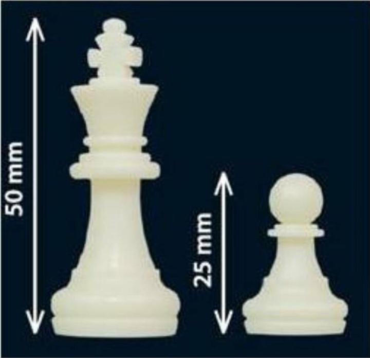 Produktbild Dino Magnetschach