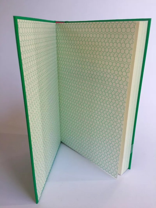 Produktbild Liebeskummer bewältigen in 99 Tagen (Deutsch, Michèle Loetzner, 2020)