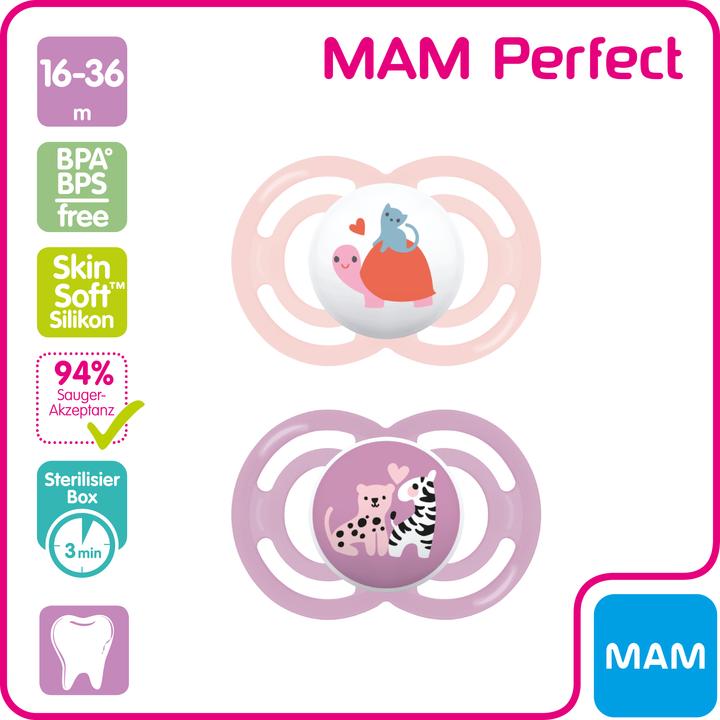 Actual product image MAM Perfect Nuggi Silikon 16-36 Monate (2 x, 16 - 36 M.)