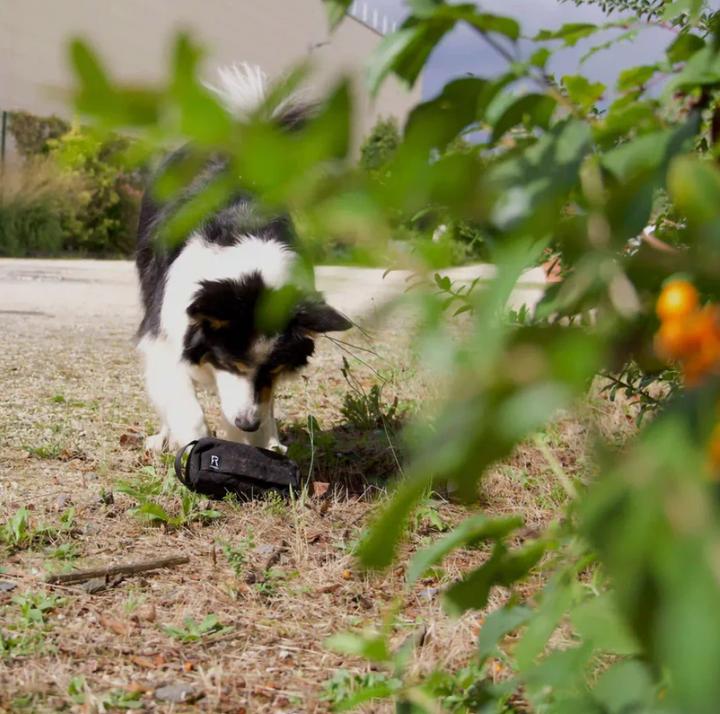 Image du produit Redoggo Futterdummy (Sac à friandises pour chien)