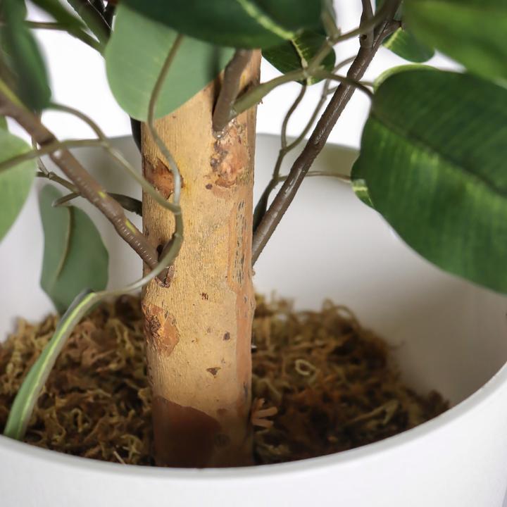 Produktbild Hjh Office Ficus Ii (65 cm)