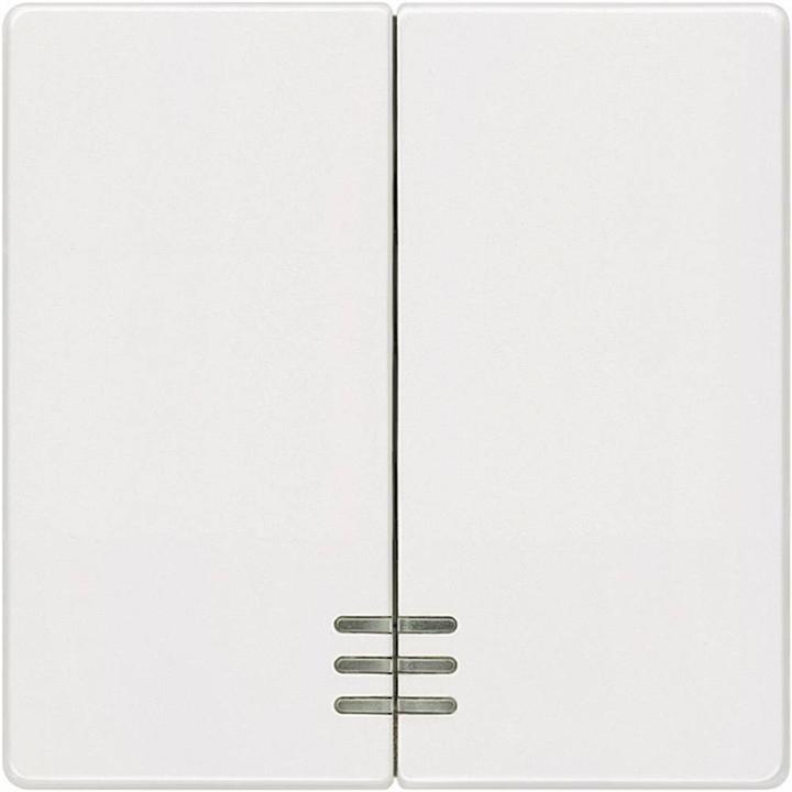 Actual product image Siemens 5TG6214 DELTA i-system rocker with blind symbols for blind push-button