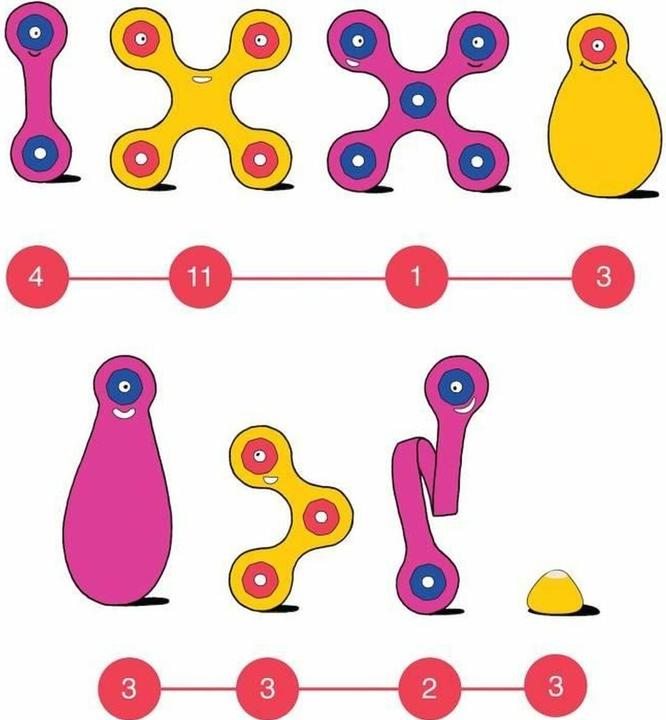 Actual product image Clixo Crew Pack