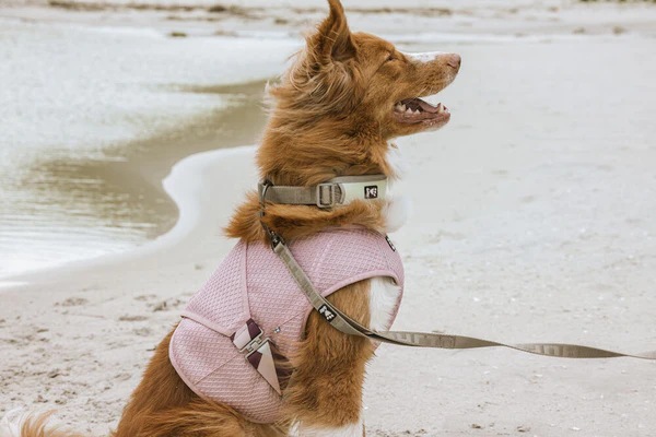 Produktbild Hurtta Cooling Wrap aquamarine (L, Hundemantel)