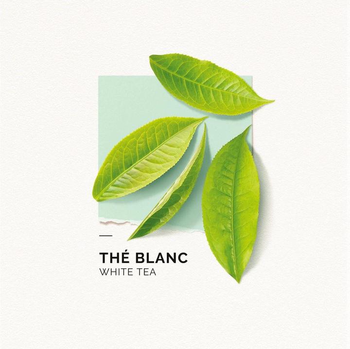 Immagine prodotto Solinotes Paris Solinotes - Thé Blanc Eau De Parfum (Eau de parfum, 50 ml)