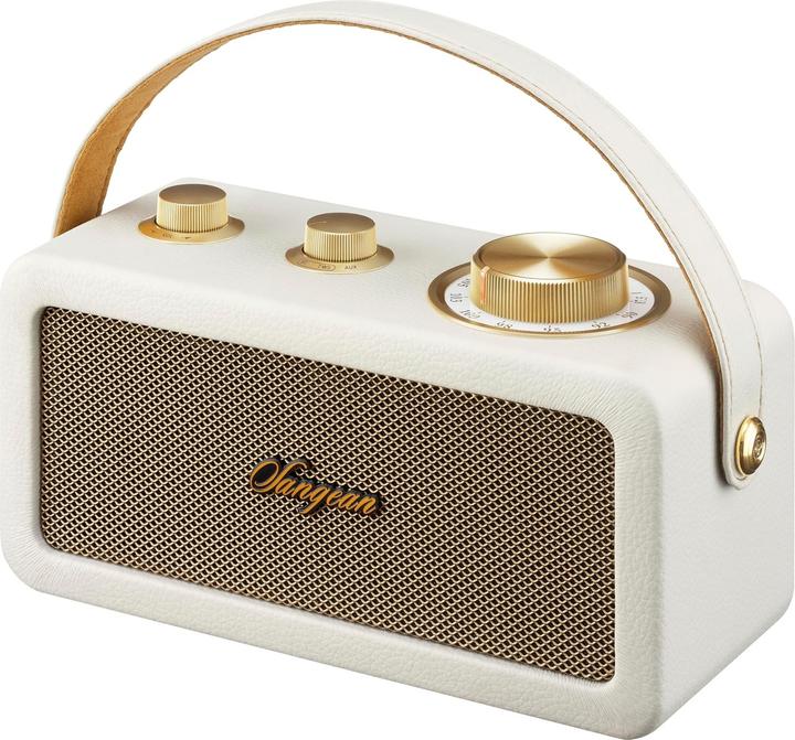 Image du produit Sangean RA-101 Radio à piles FM Bluetooth®, AUX rechargeable Ivory, Gold (FM, Bluetooth)