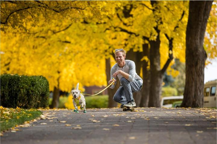 Image du produit Ruffwear Flagline (L, XL, Chien, Général)