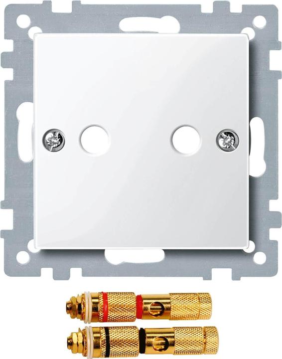 Actual product image Merten Central plate with high-end loudspeaker- 468819