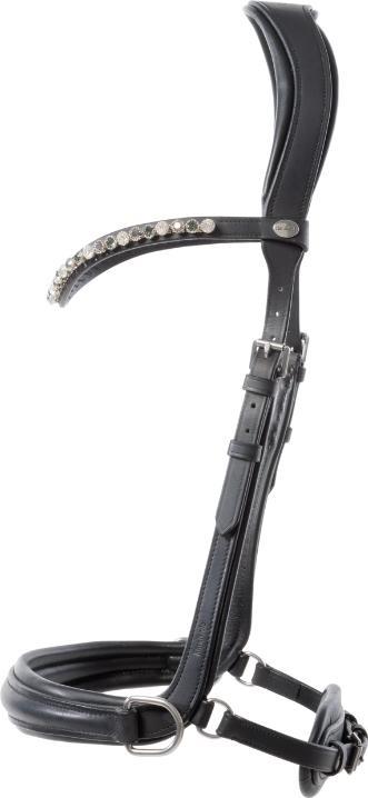 Produktbild Kavalkade Light English Nb