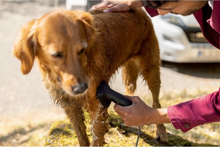 Actual product image Kärcher Washing brush for animal hair