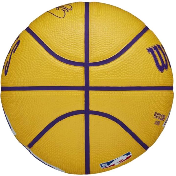 Actual product image Wilson Nba Player Icon Mini Bskt Curry (3)