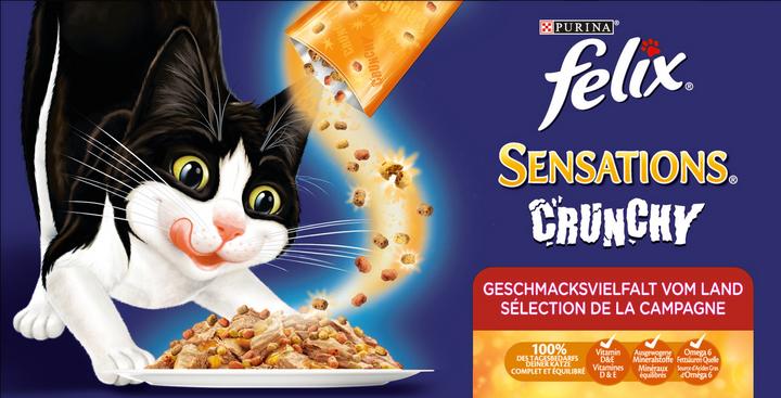 Produktbild Felix Sensations (Adult, 10 Stk., 85 g)