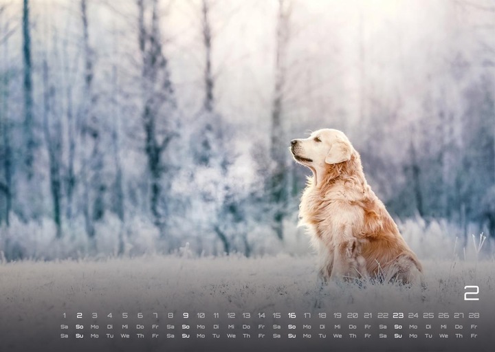 Produktbild Wuff - Unsere Vierbeiner - Der Hundekalender- 2025 - Kalender DIN A3 (A3, Harter Einband, Deutsch)
