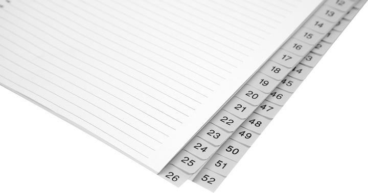 Immagine prodotto Biella Registro PP