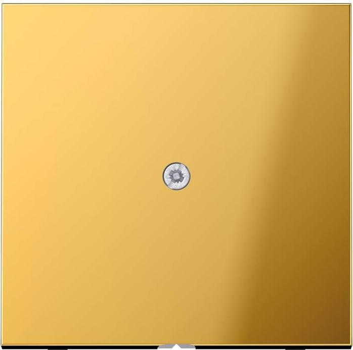 Actual product image JUNG Insert for cable outlet LS go glz Screw fixing GO2990A