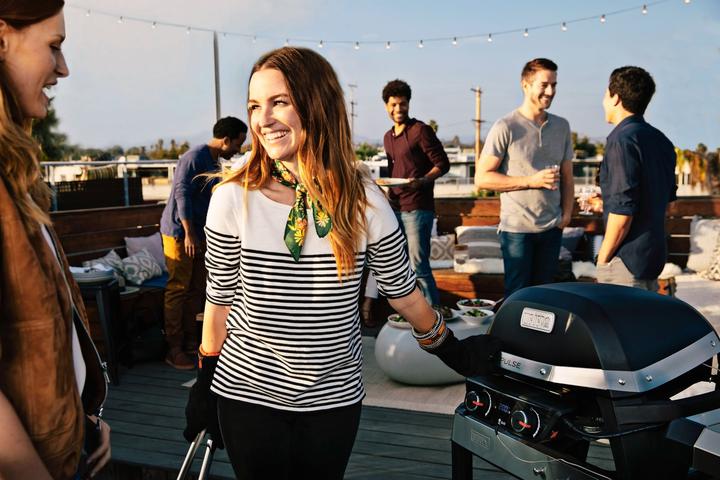 Image du produit Weber Pulse 2000 avec support (2.20 kW)