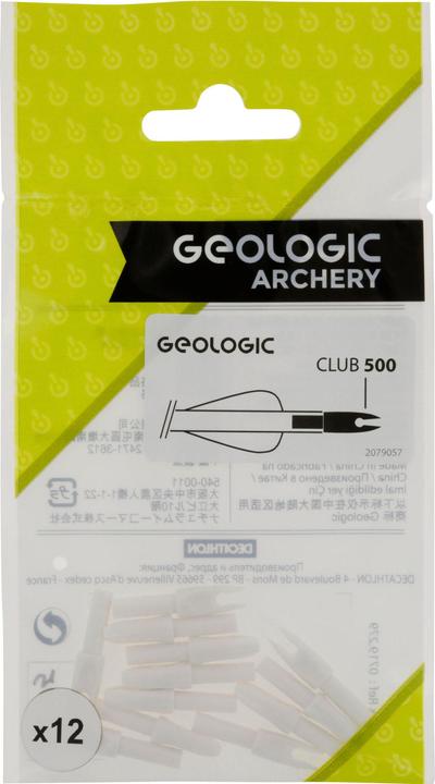 Actual product image Geologic Arrowheads 12-pack