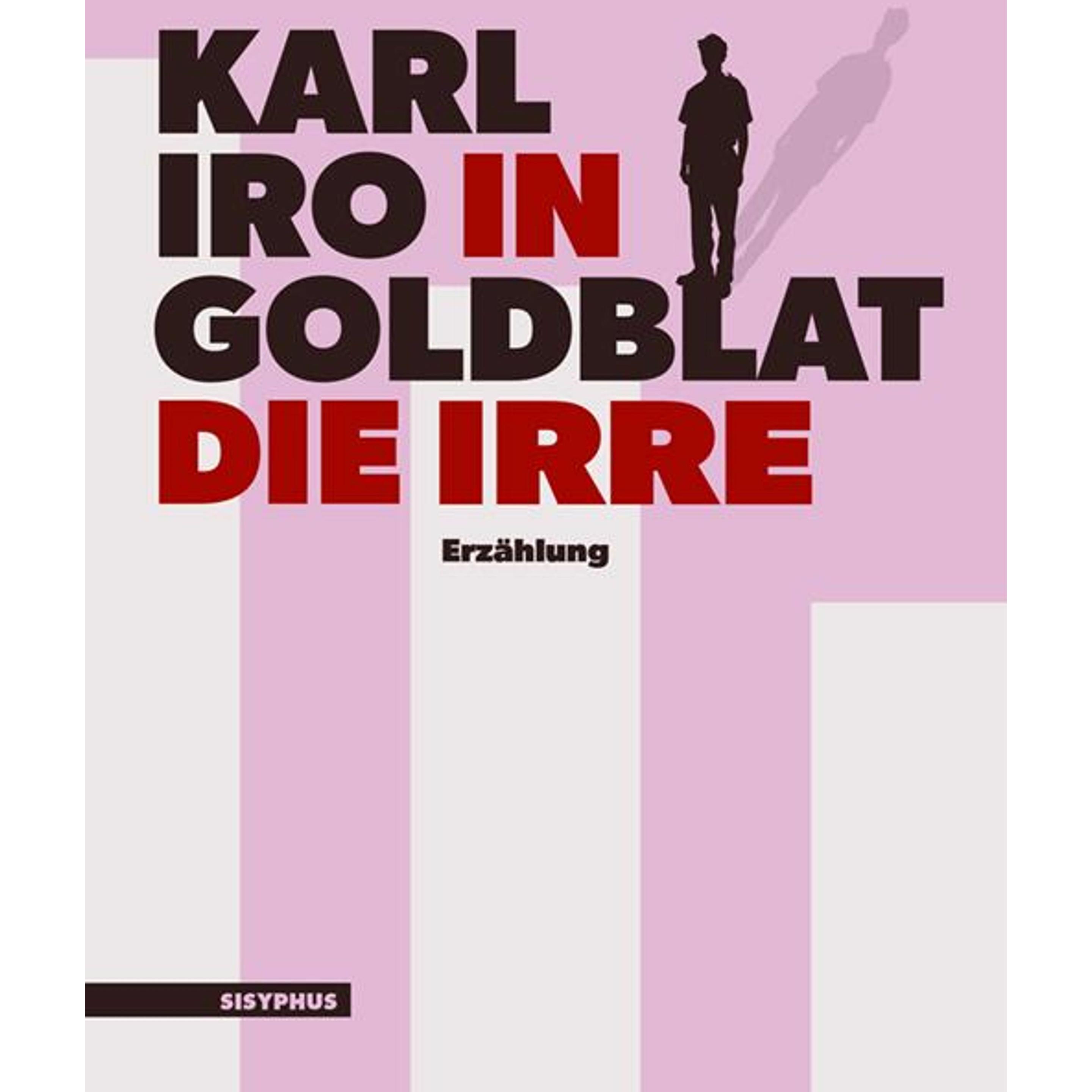 In die Irre, Belletristik von Karl Iro Goldblat
