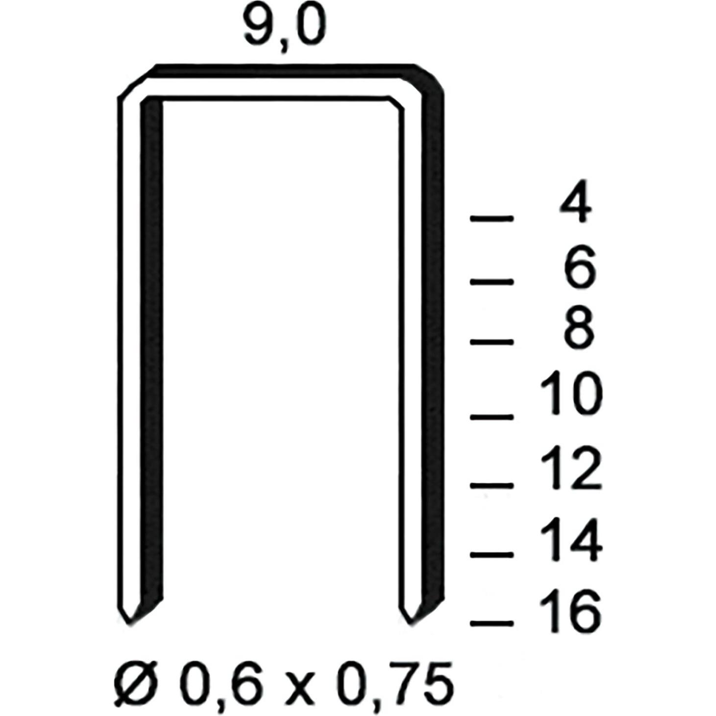 Alsafix, Tackerklammern + Tackernägel, Klammern Type V 8 mm aus Stahldraht verzinkt (10000 Stück)