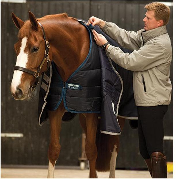 Immagine prodotto Horseware Unterdecke Liner 100g (165 cm)