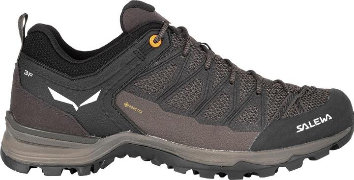 Produktbild Salewa Mountain Trainer Lite GORE-TEX (46)