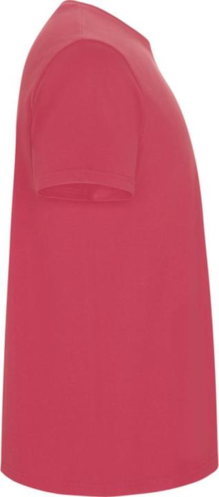 Produktbild Alpinia Stafford TShirt