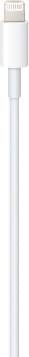 Actual product image Apple USB-C - Lightning (1 m, USB 2.0)