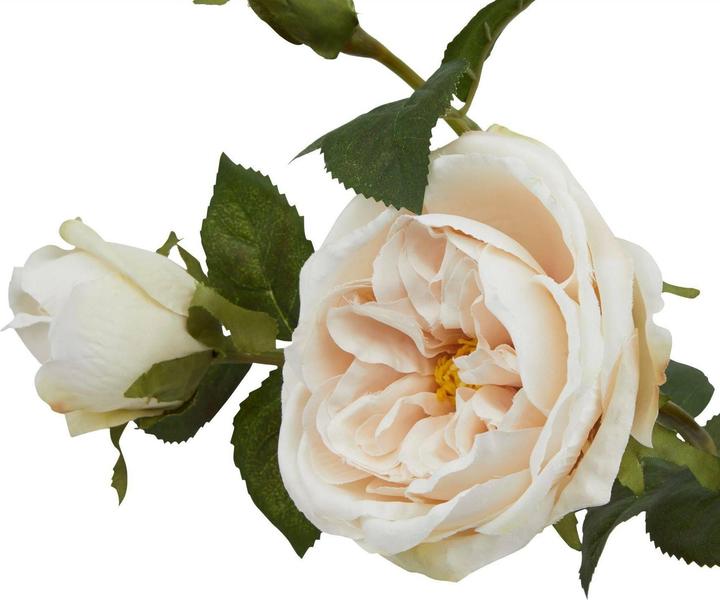 Image du produit Hill Interiors The Natural Garden Collection Charity Rose Fleur Artificielle (58 cm)