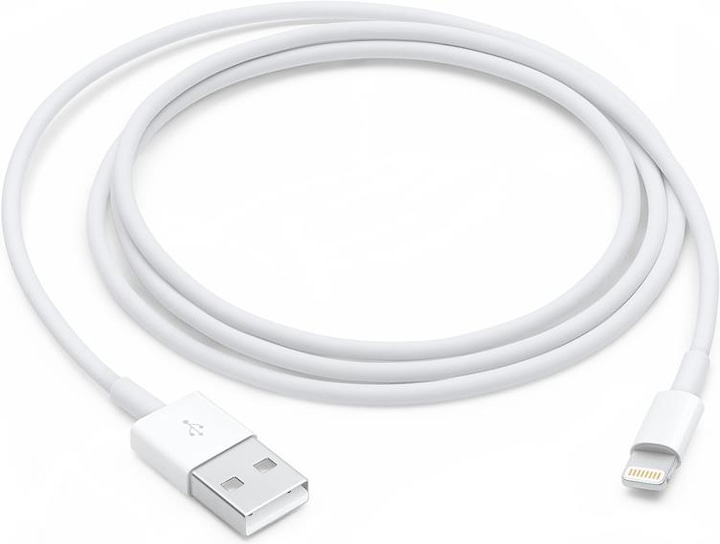 Actual product image Apple Lightning – USB A (1 m, USB 2.0)