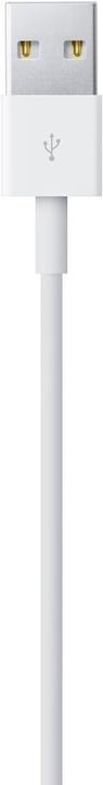 Productafbeelding Apple Lightning naar USB kabel (1 m, USB 2.0)