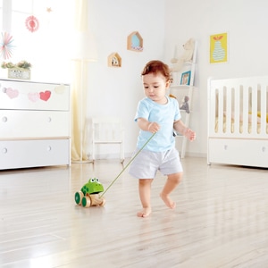 Actual product image Hape Frog