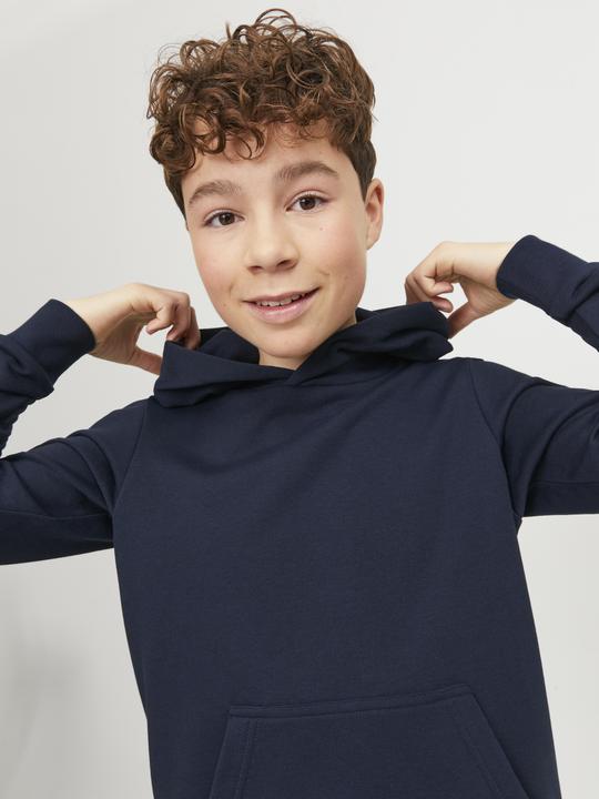 Image du produit Jack & Jones Sweat à capuche garçon (176)