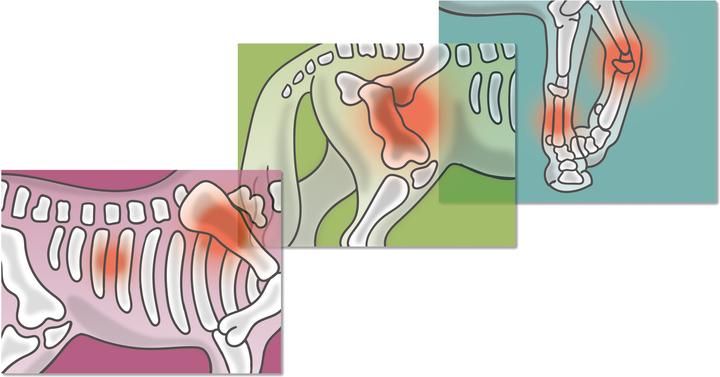 Image du produit Schleich Mobile Tierärztin mit Anhänger