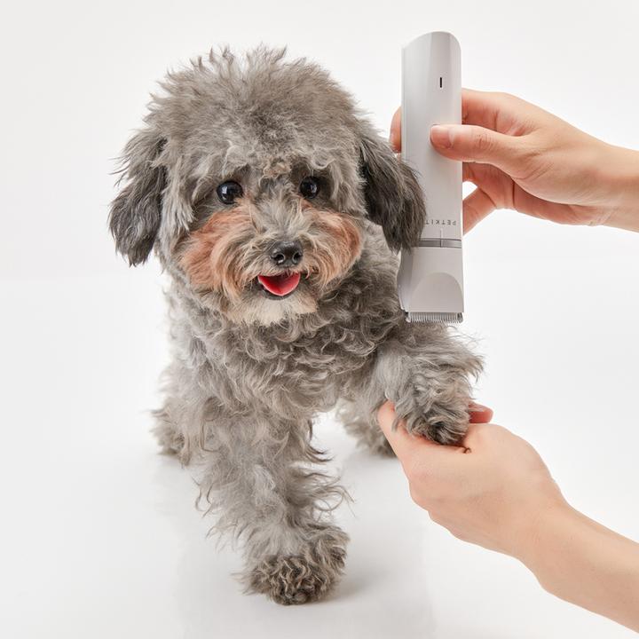 Actual product image Petkit 2 in 1 (Dog)