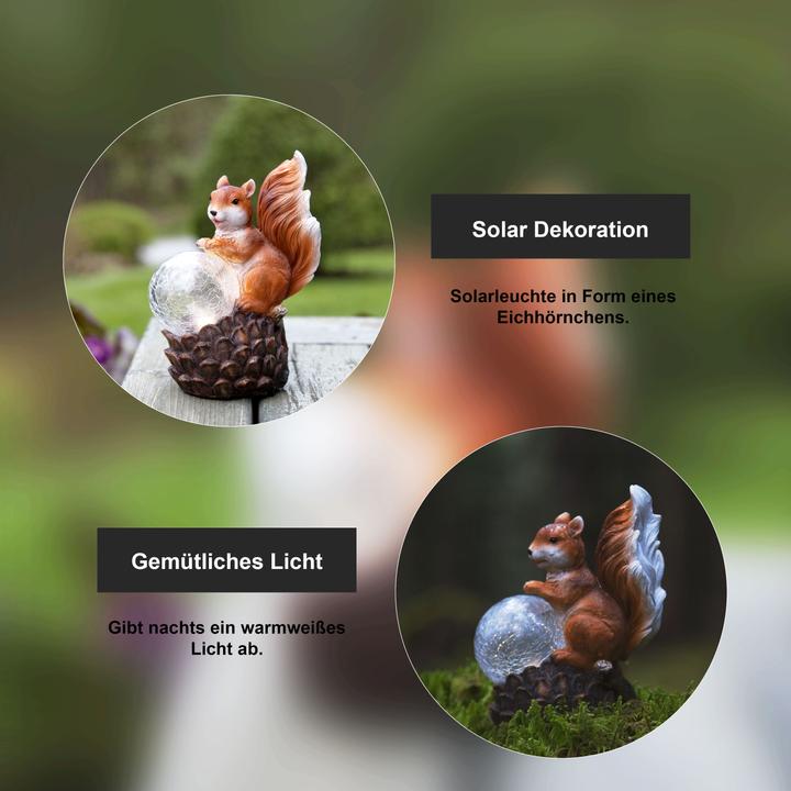 Actual product image Schönenberger Squirrel