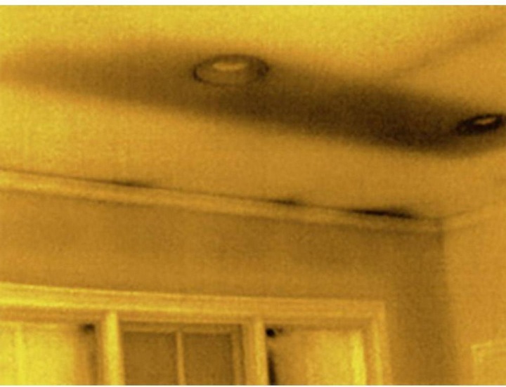 Immagine prodotto SeeK Pixel della termocamera UQ-AAAX