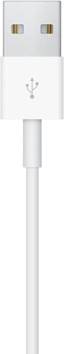 Immagine prodotto Apple Watch Magnetic Charging Dock