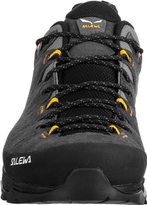 Image du produit Salewa Alp Trainer 2 GTX (40)