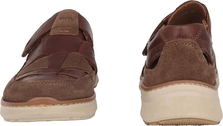 Actual product image Ara Pedro (45)