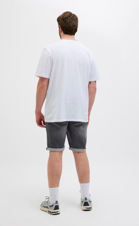 Actual product image Jack & Jones JJIRICK JJICON I.K. SHORTS GE 062 SN PLS (40)
