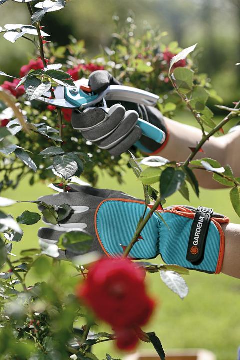 Actual product image Gardena Shrub care glove (S)