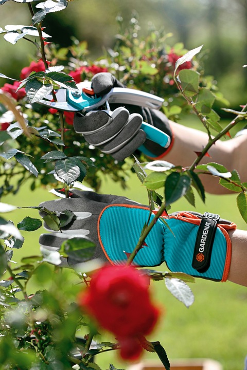Produktbild Gardena Strauchpflegehandschuh (S)