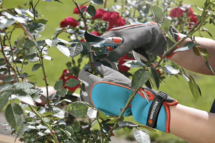 Actual product image Gardena Shrub care glove (S)