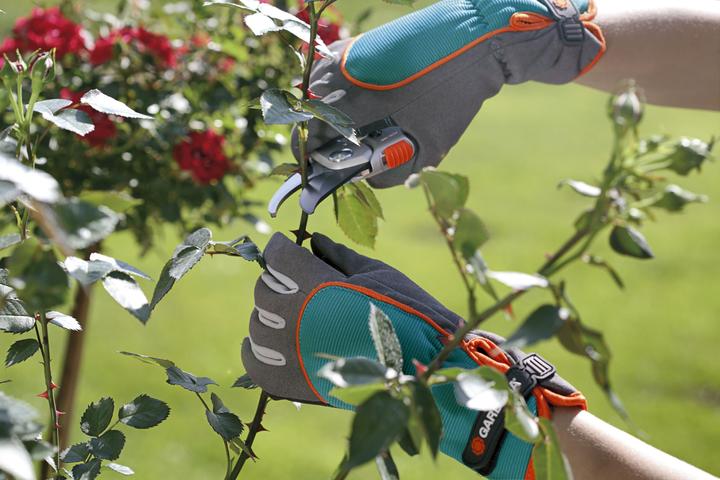 Actual product image Gardena Shrub care glove (S)