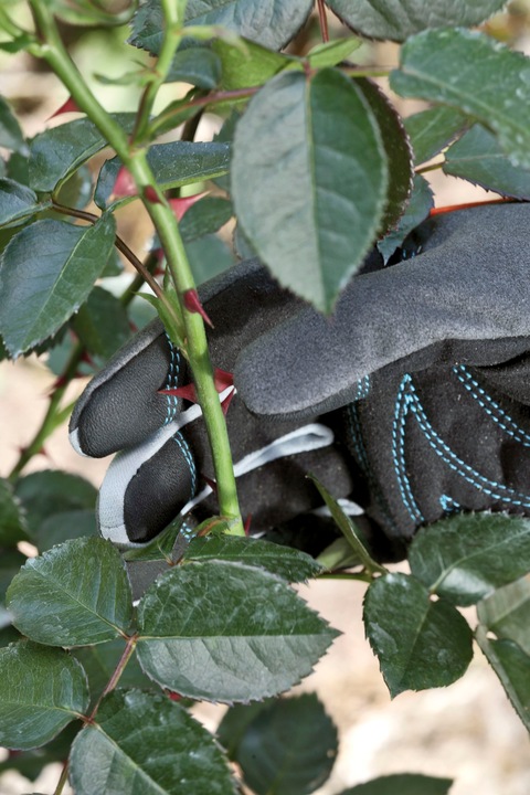 Produktbild Gardena Strauchpflegehandschuh (L)