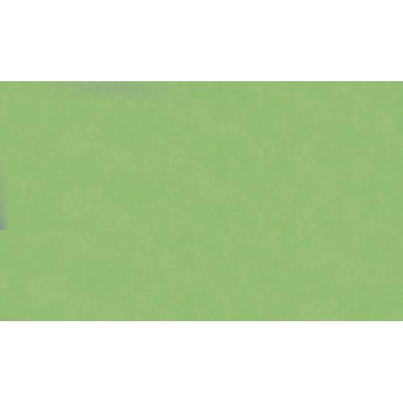 Magni, Bastelpapier, Transparentpapier Rolle 70X100 cm, hellgrün (42 g/m², 1 x)
